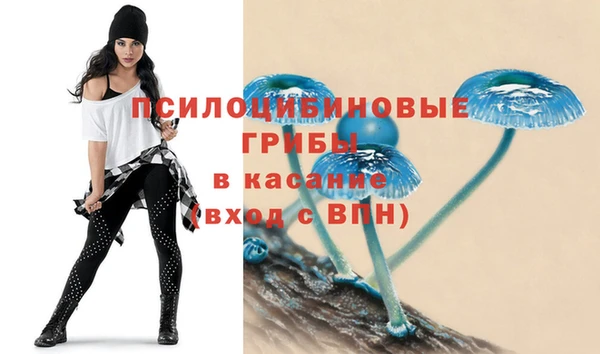 дурь Алексеевка