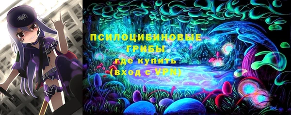 амф Алексин