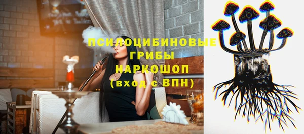 дурь Алексеевка