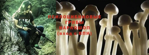 MESCALINE Алзамай