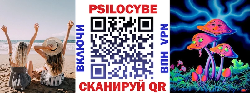купить закладку  мега ссылки  Псилоцибиновые грибы мицелий  Тайшет 