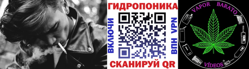 где продают   Тайшет  mega онион  Каннабис ГИДРОПОН 